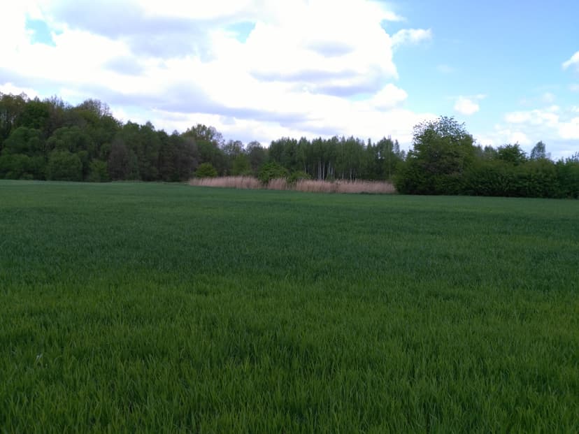 Nowy Bytom PRZEZ Chudów