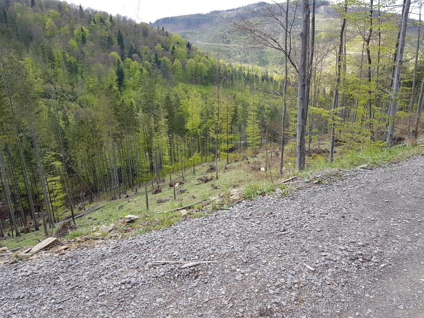 Rycerka Dolna - Rycerka Górna - Młada Hora- Rajcza - Rycerka Dolna