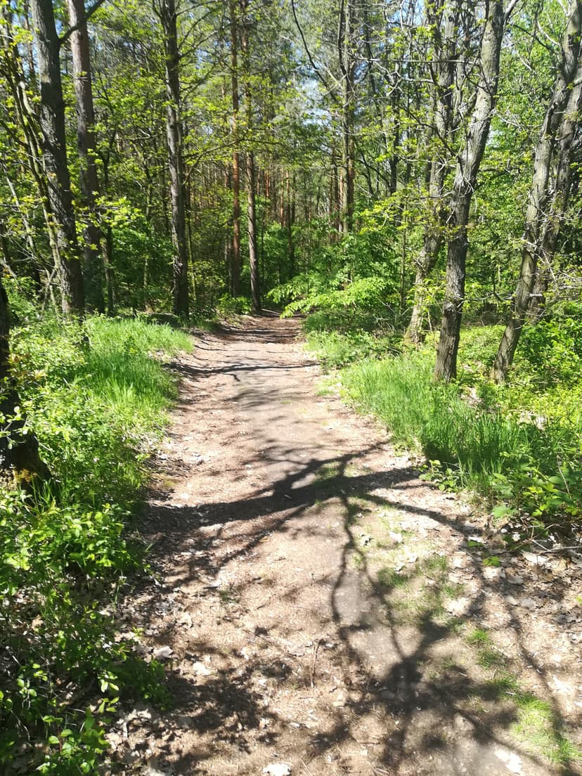 18.05.2019 10:55