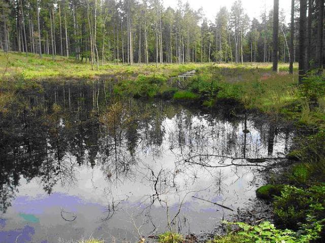 Szymbark - Kamienica Królewska - Szymbark