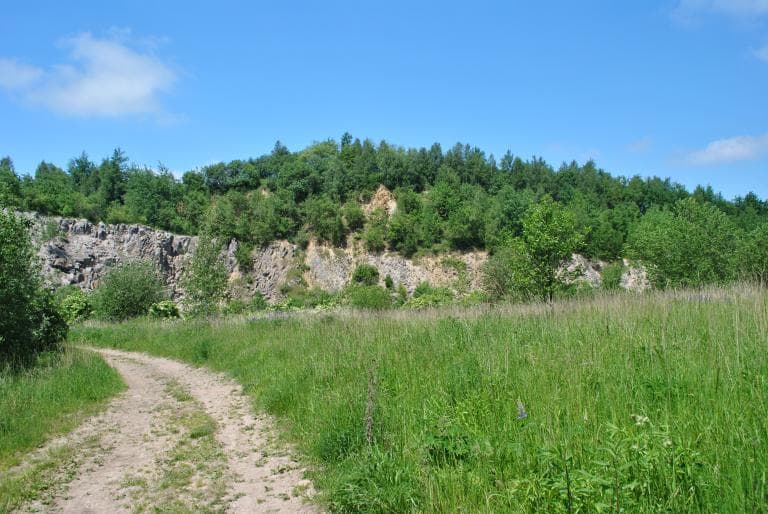 Dolinki Krakowskie