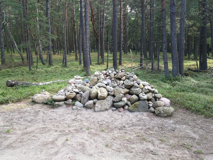 27.07.2019