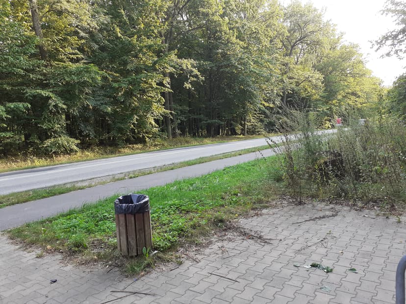 01.08.2019 16:49
