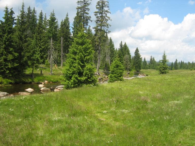 Trasa nr 13: ?Izerska Pętla?