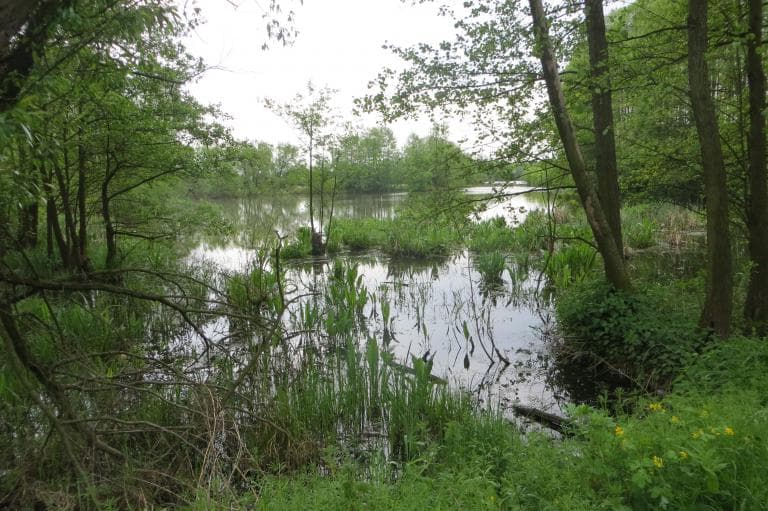 Puławy - Brzesko (Dzień 2)