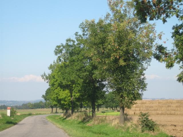 Trójkąt Kałkowski