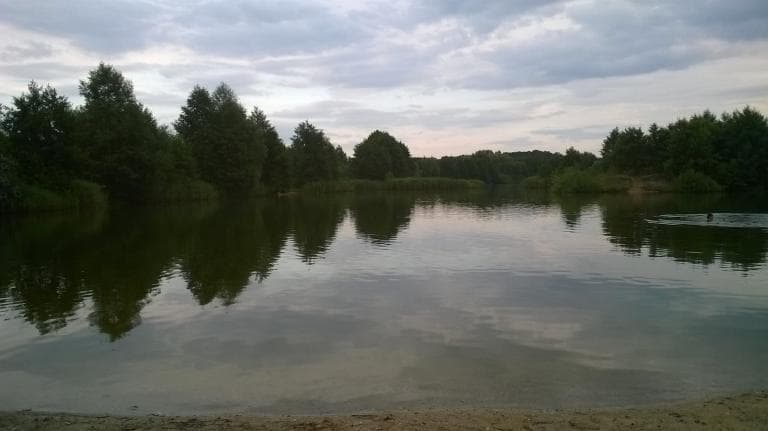 Wrocław-Pałac w Brzeźinach