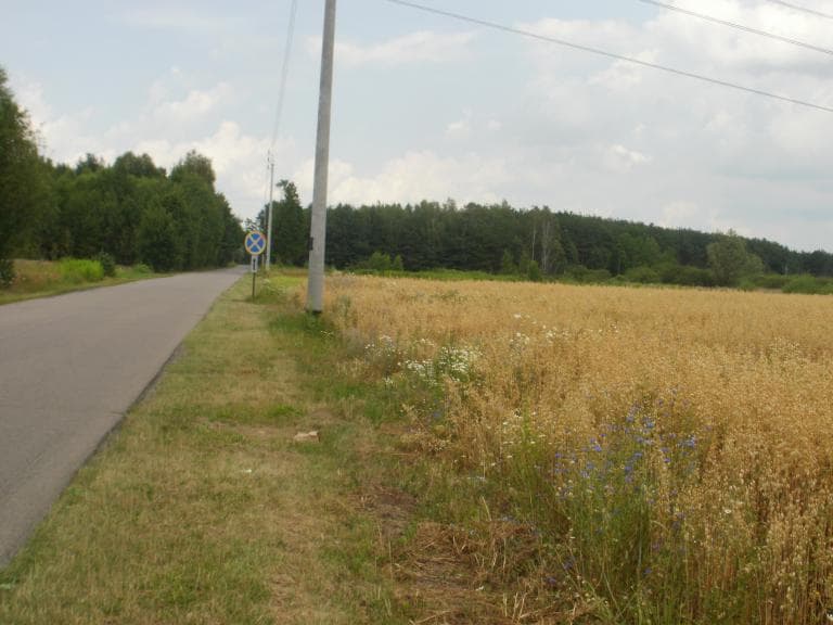 Przejazd przez wołomińskie wsie