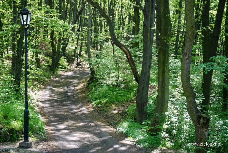 Korzkiew - Prądnik Korzkiewski