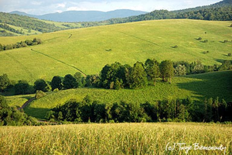 Lesko-Baligród-Wołkowyja-Średnia Wieś