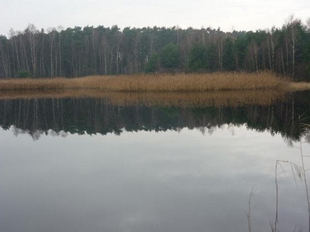 Do Koszęcina