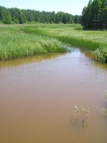 Mniów - rezerwat przyrody