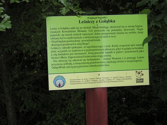 Fojutowo - Gołąbek