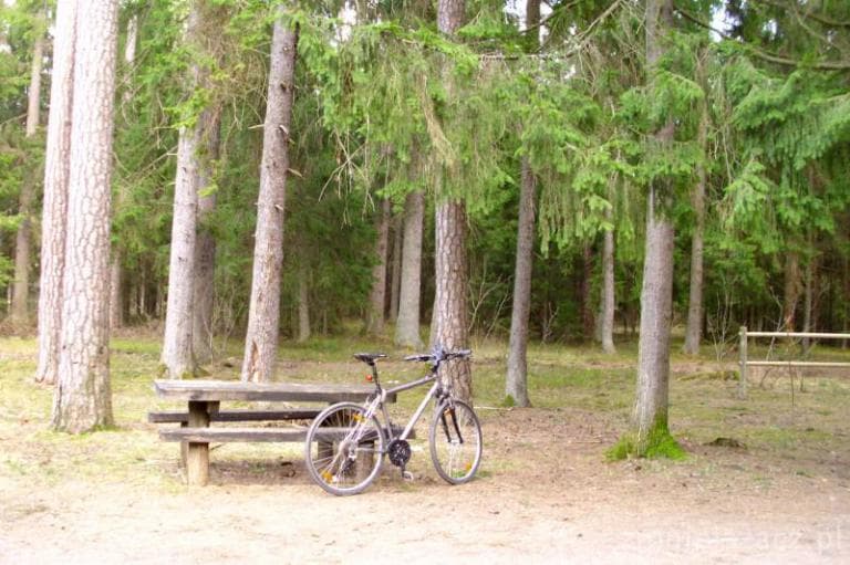 Białystok-Puszcza Knyszyńska-Supraśl