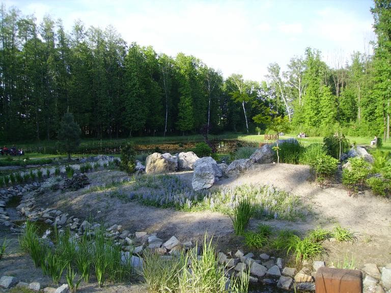Krzeczów-park botaniczny Wieluń-Krzeczów