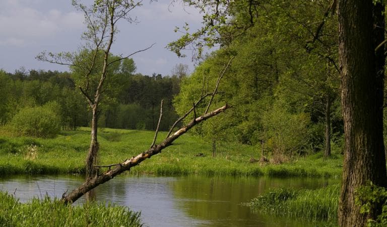 Trasa wzdłuż Bystrzycy i po lasach ...