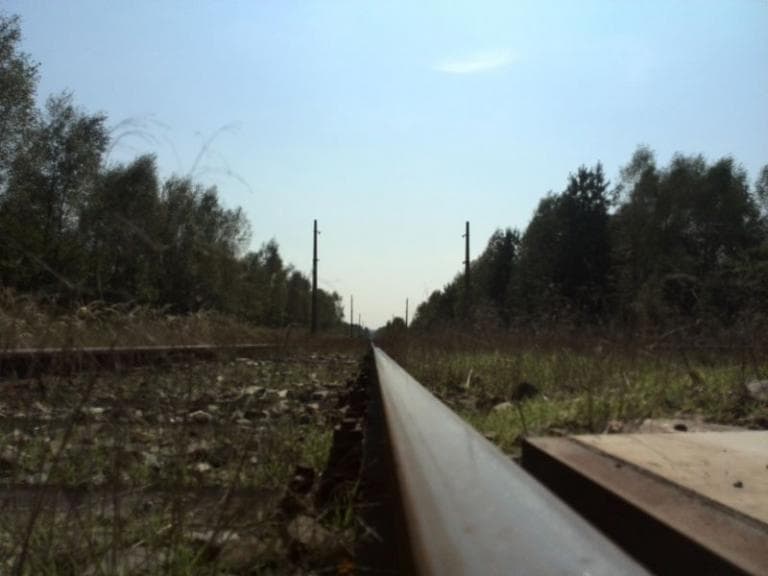 Pętla na pożarzysku
