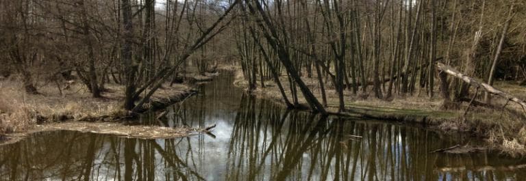 Rogoźno-Owczegłowy-Rogoźno