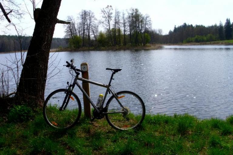 Przez Puszczę Knyszyńską