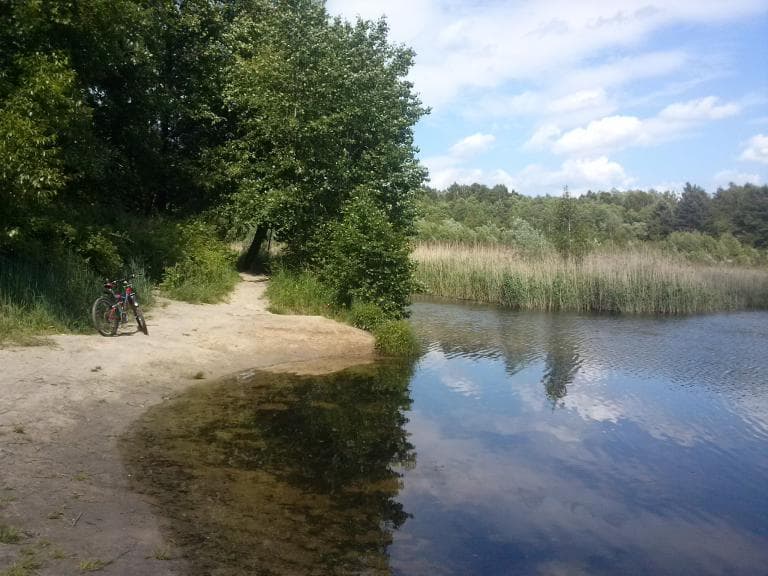 Krótka wycieczka po Halembskim lesie