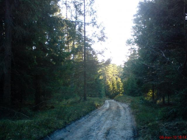 Koszalin - Maszkowo - Lubiatowo