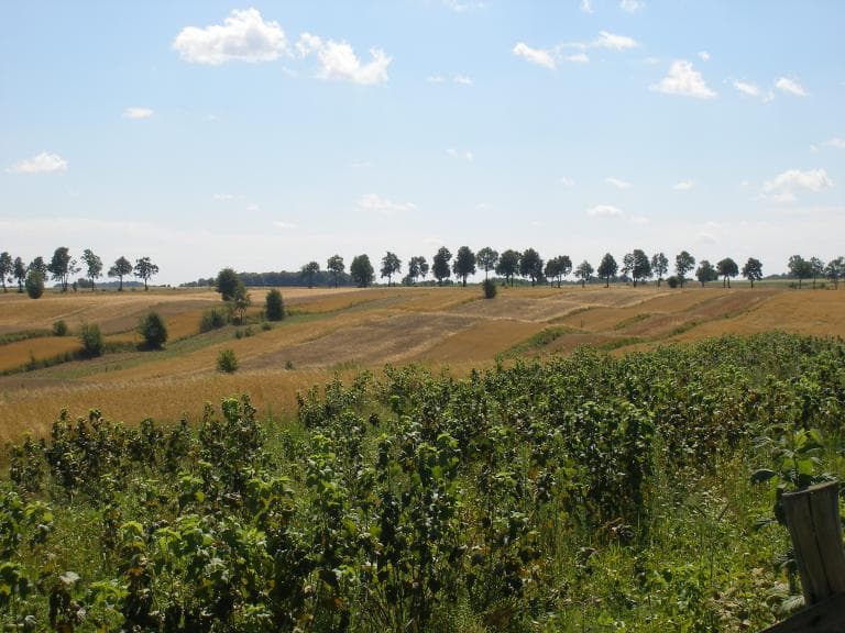 Pętla po malowniczych terenach.