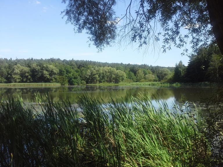 Szlak czerwony Kraśnik ? Zwierzyniec