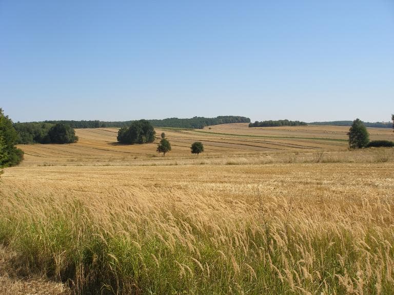 Krzczonów- Lublin