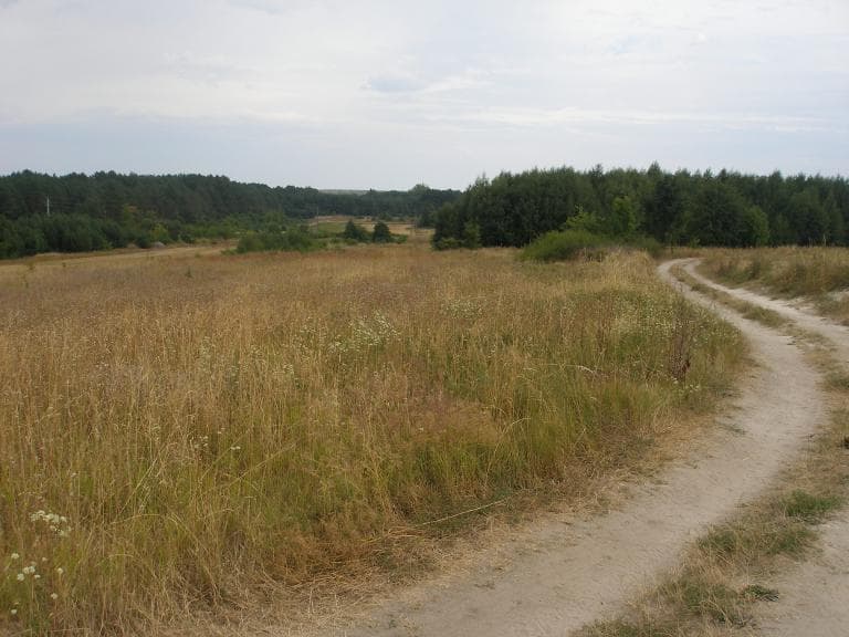 Wola Uhruska - Okuninka