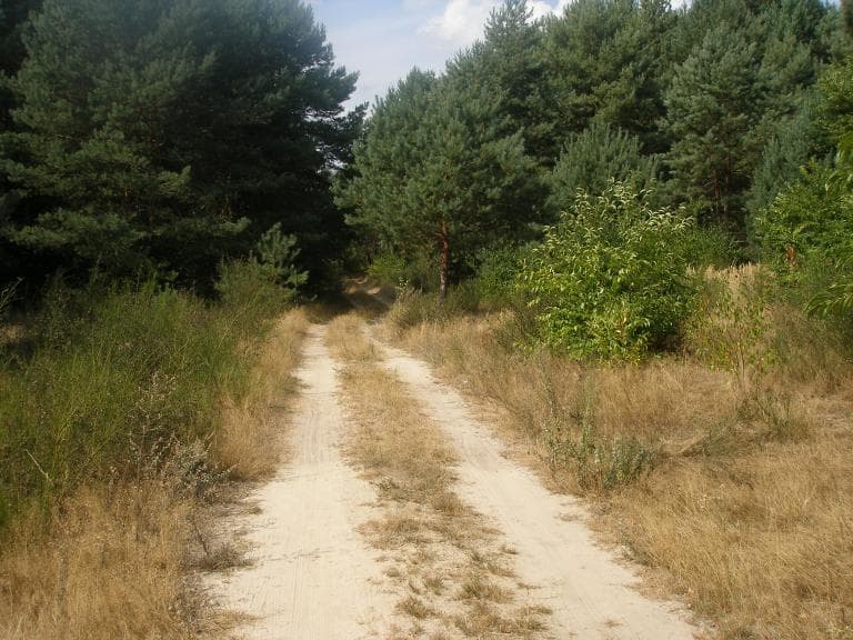 Trasa Jezioro Białe- Czarne