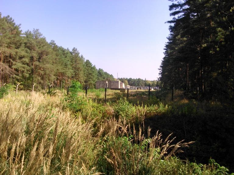 cross country