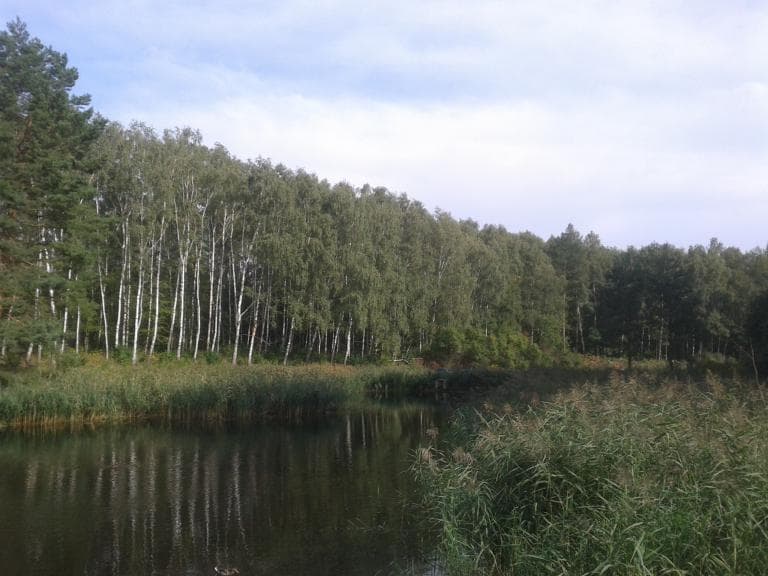Poznań-Morasko-Strzeszynek-Poznań