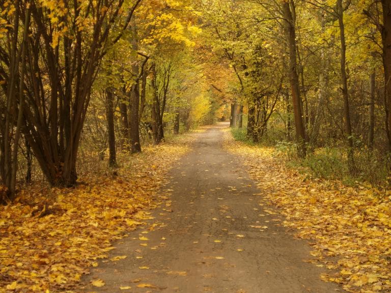 Sochaczew-Kampinos-Warszawa