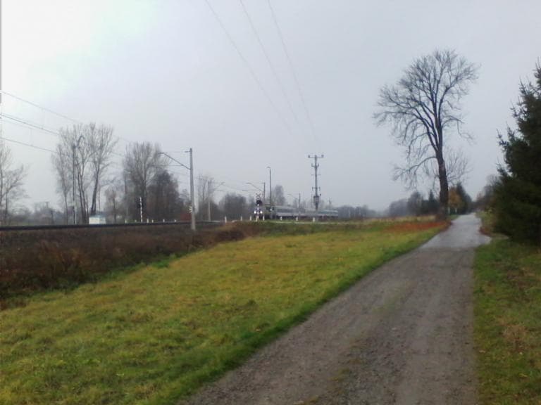Wyżyna Miechowska