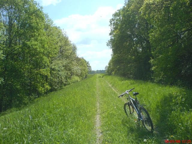 10.05.2008 Wałami Odry