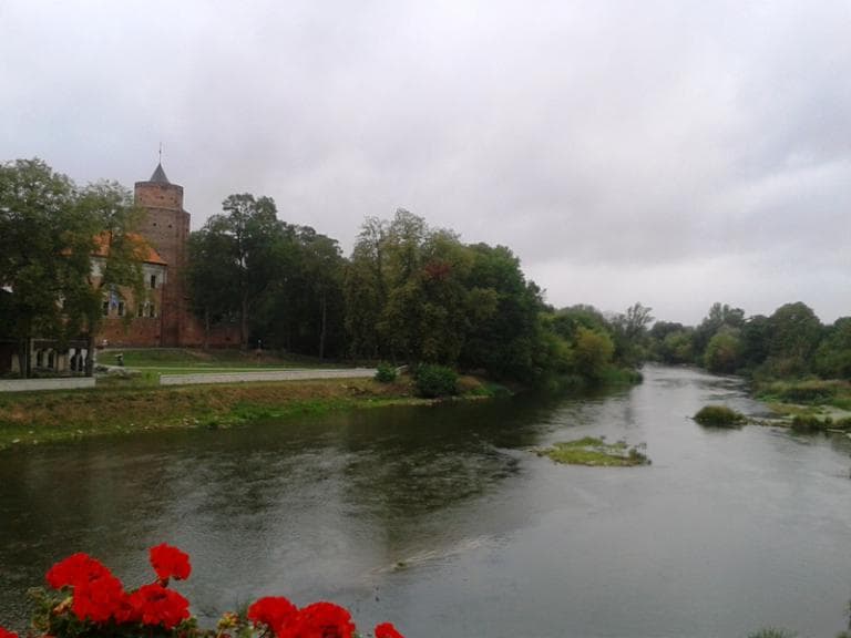 Bolesczyn - Jezioro Jeziorsko - Uniejów