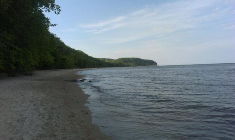 Gdynia Plac Neptuna -Gdynia Orłowo-Sopot