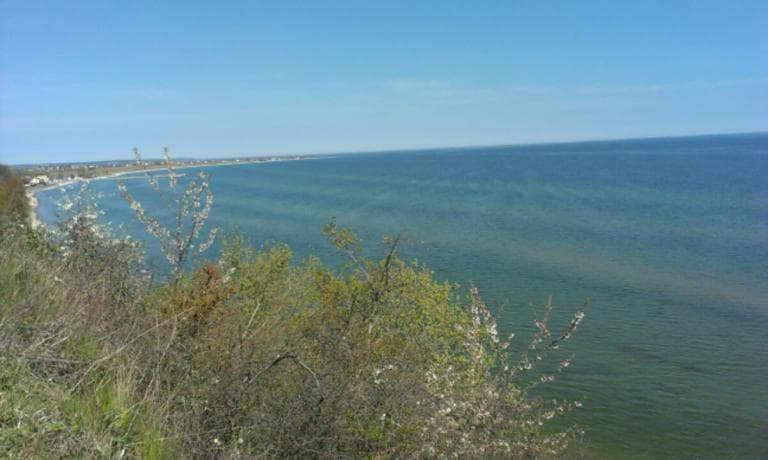 Gdynia-Rewa-Gdynia