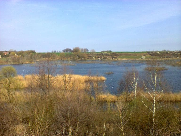 Swarzędz - Dol.Cybiny - Malta - Swarzędz