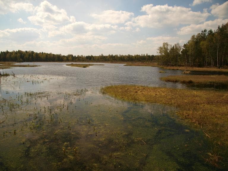 Zielonka-Czołpino-Zielonka