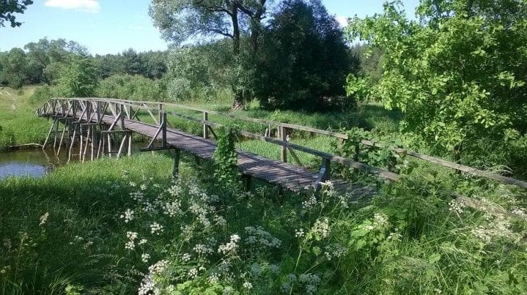 Częstochowa-Wąsosz Górny-Częstochowa