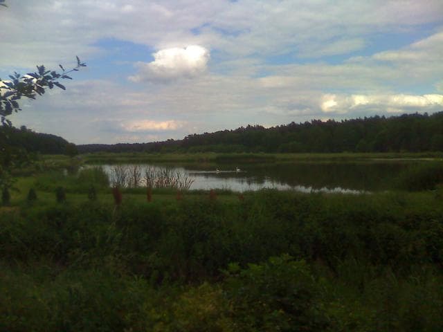 Poznań - Kobylnica - Paczkowo - Tulce-Poznań