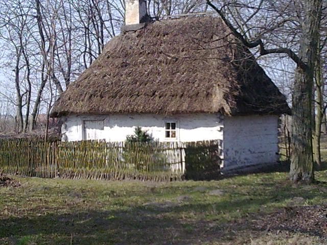Okolice Kalisz V