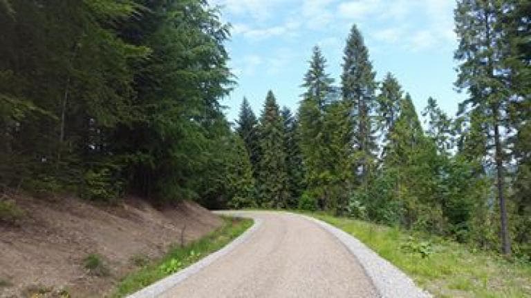 Wetlina -Majdan-Rezerwat Sine Wiry