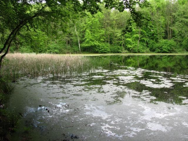 Tarnów - Lubinka - Janowice