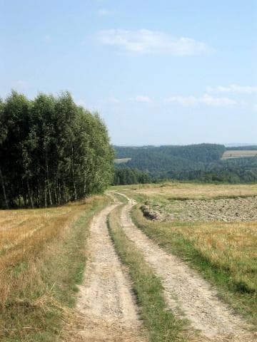 Rzeszów - Dubiecko