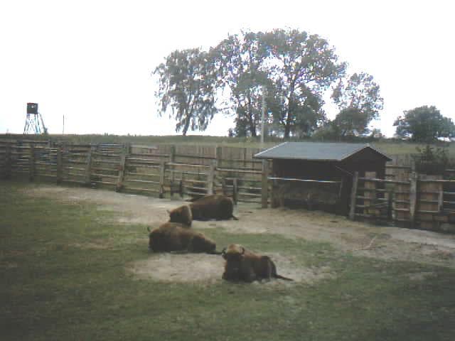 Świnoujście - Karnin