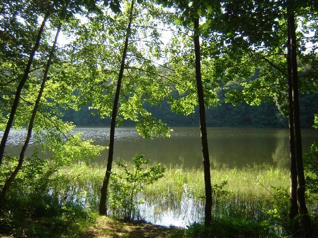 Świnoujście - Korswandt - Garz- Kamminke