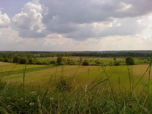 Widawy - Strońsko