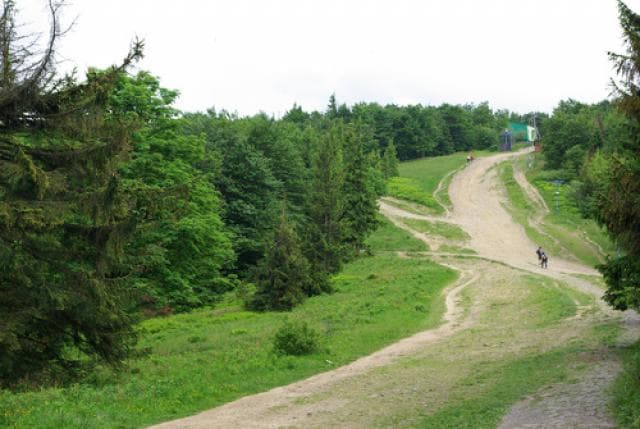 Centrum-Dębowiec-Lotnisko-Centrum